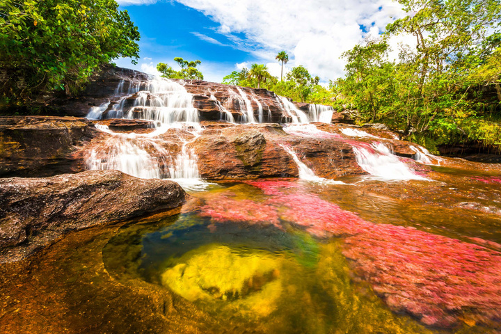 Caño Cristales